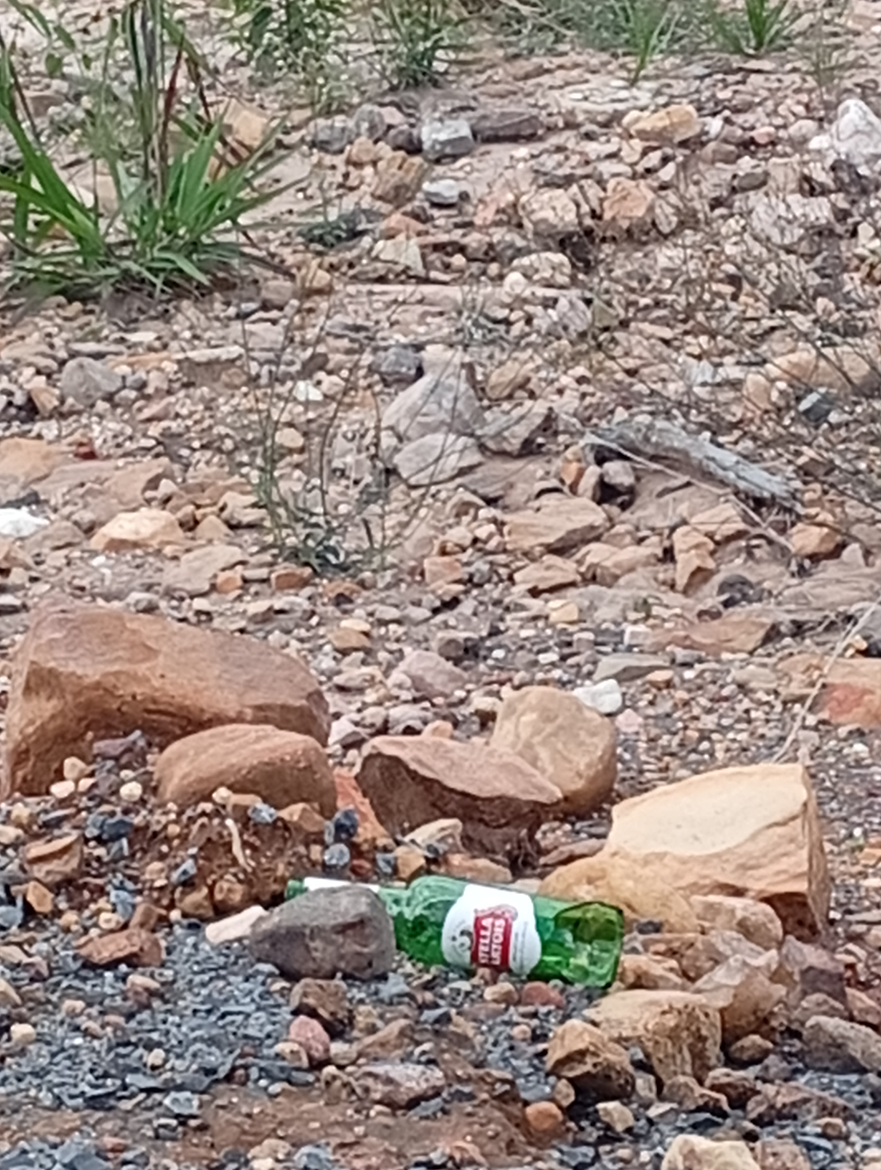 Resíduos descartados na área de acesso