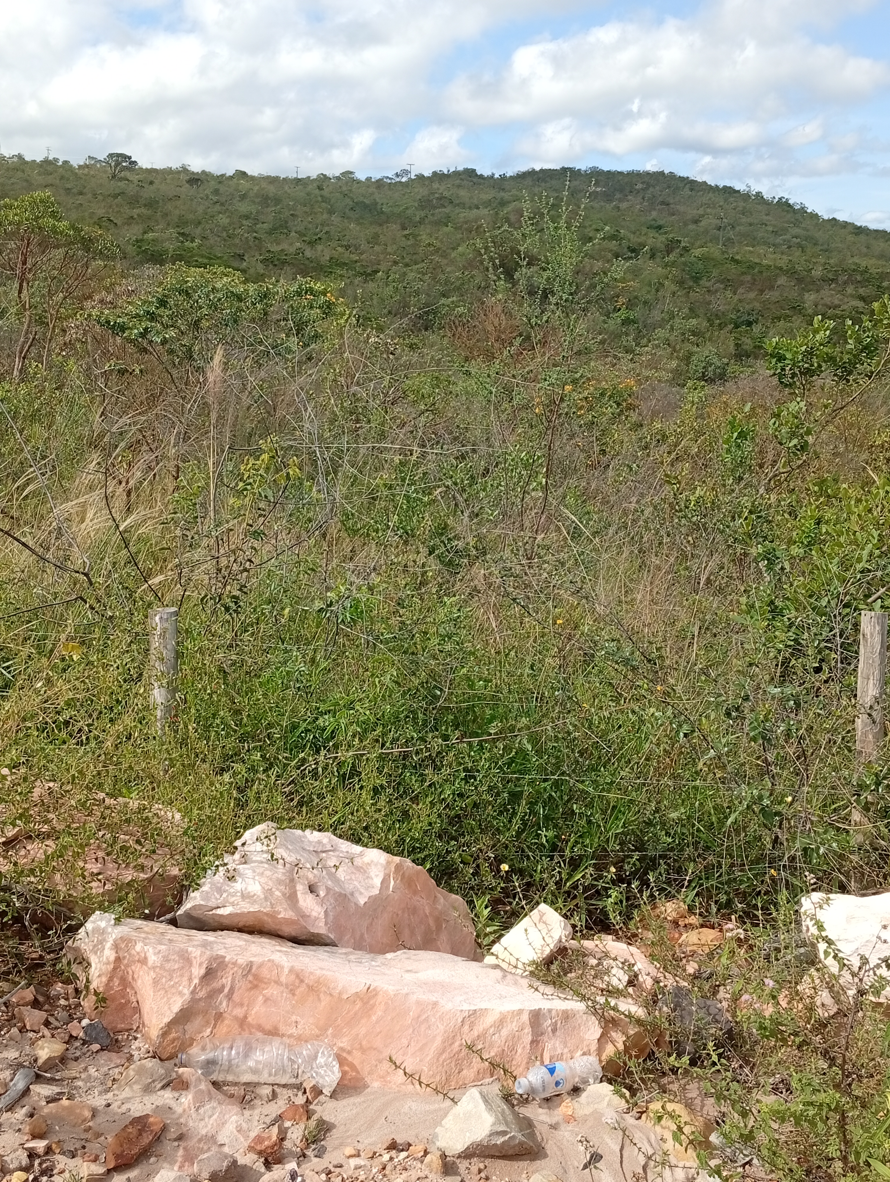 Descarte irregular de resíduos